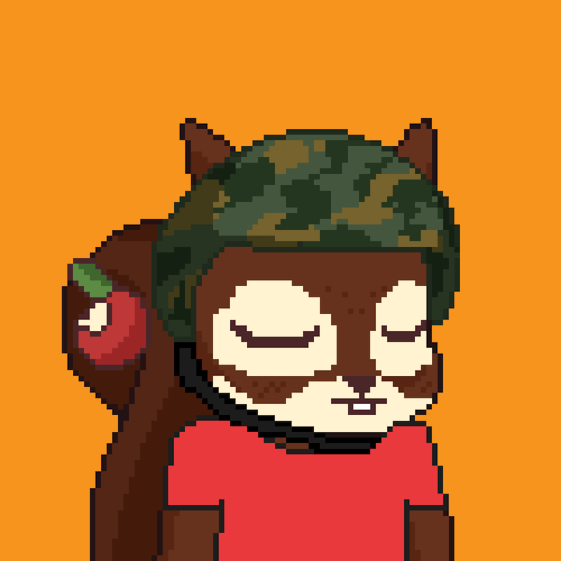 Pixel Squirrels #6872